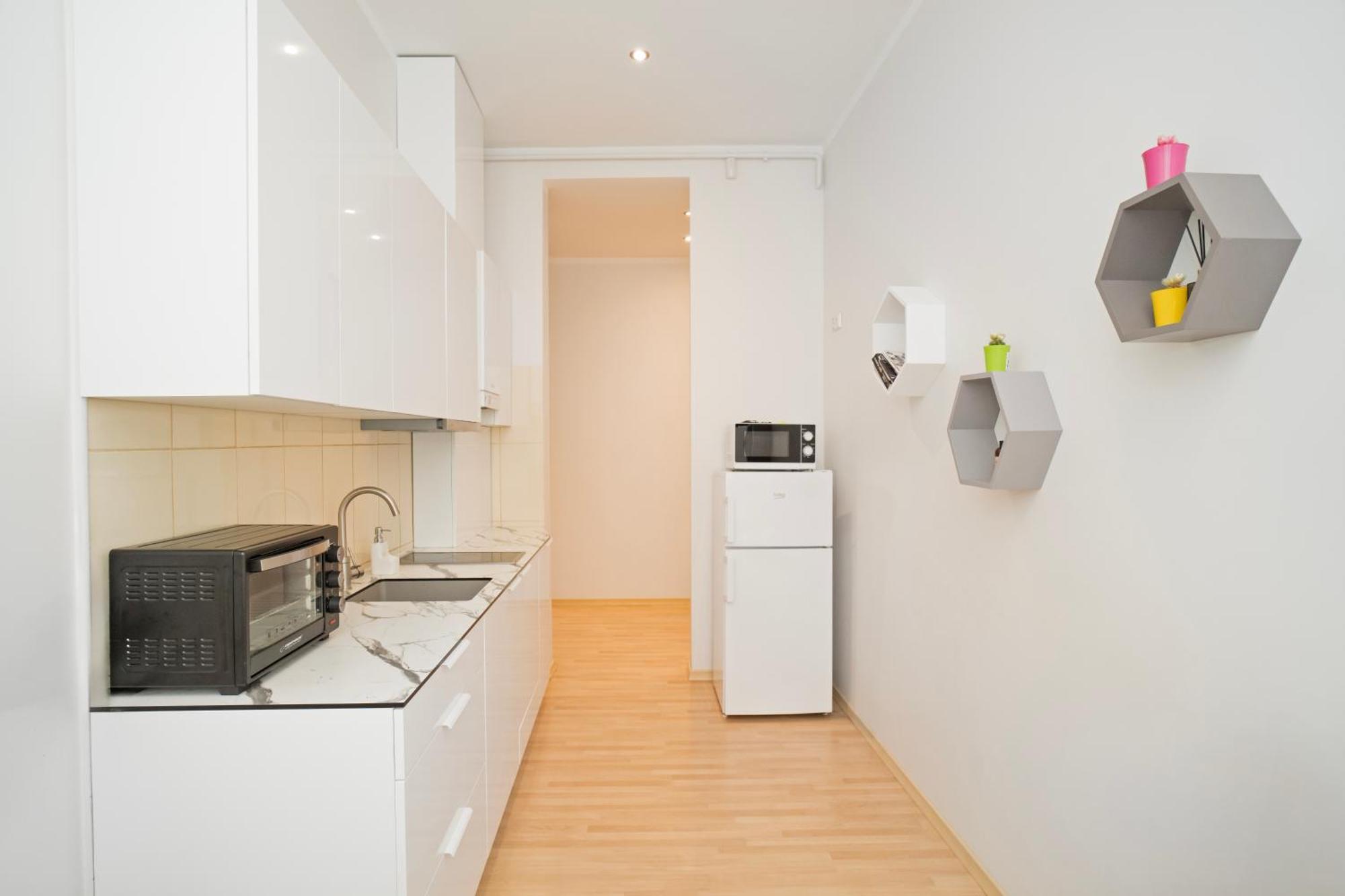 Kaunas Castle Apartments - One Bedroom Flat Dış mekan fotoğraf